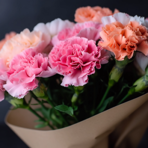 best carnation
