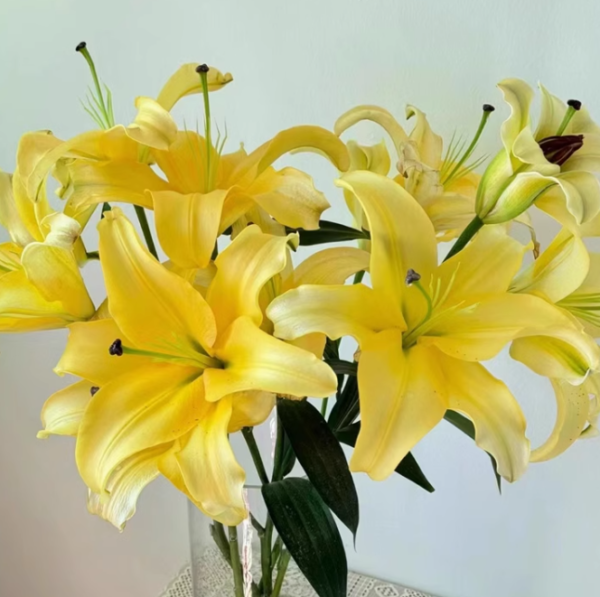Lily（百合）
