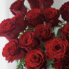 Rose(red) - Image 4