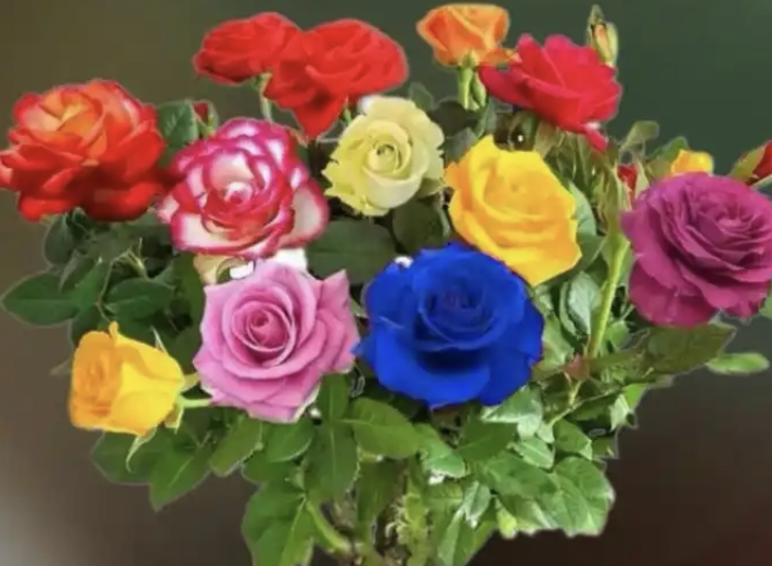 best roses