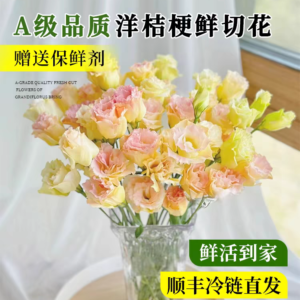 Lisianthus
