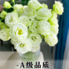 Lisianthus - Image 3